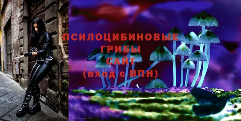 Галлюциногенные грибы MAGIC MUSHROOMS  хочу   Иннополис 